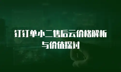 钉钉单小二售后云价格解析与价值探讨