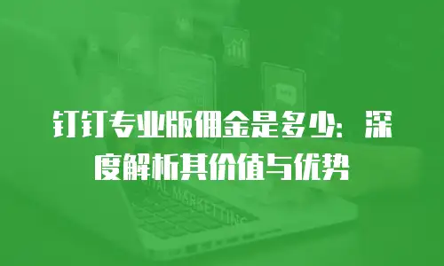 钉钉专业版佣金是多少：深度解析其价值与优势