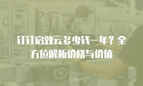 钉钉启效云多少钱一年？全方位解析价格与价值