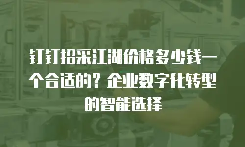 钉钉招采江湖价格多少钱一个合适的？企业数字化转型的智能选择