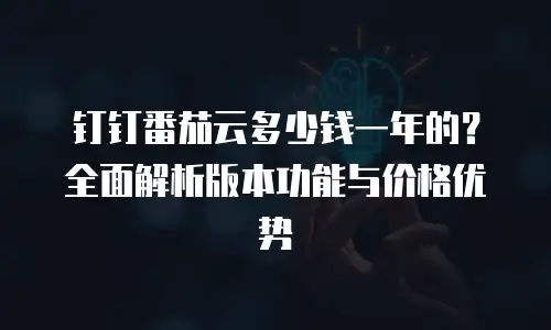 钉钉番茄云多少钱一年的？全面解析版本功能与价格优势
