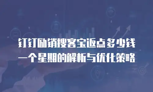 钉钉励销搜客宝返点多少钱一个星期的解析与优化策略