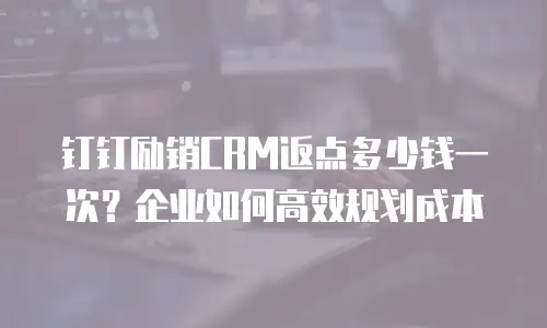 钉钉励销CRM返点多少钱一次？企业如何高效规划成本