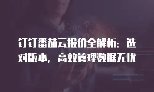 钉钉番茄云报价全解析：选对版本，高效管理数据无忧