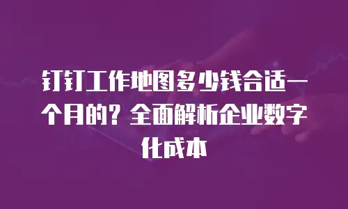 钉钉工作地图多少钱合适一个月的？全面解析企业数字化成本