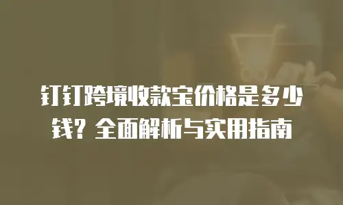 钉钉跨境收款宝价格是多少钱？全面解析与实用指南