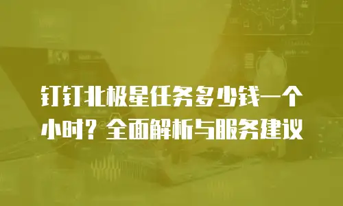 钉钉北极星任务多少钱一个小时？全面解析与服务建议