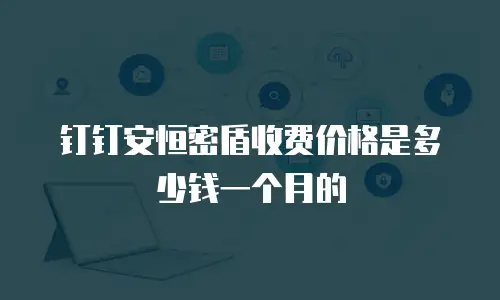 钉钉安恒密盾收费价格是多少钱一个月的