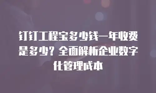 钉钉工程宝多少钱一年收费是多少？全面解析企业数字化管理成本