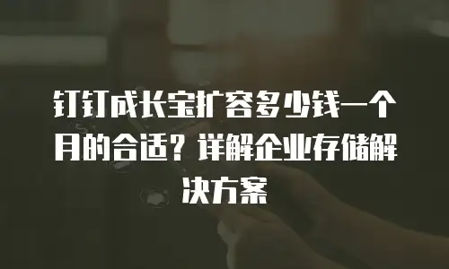 钉钉成长宝扩容多少钱一个月的合适？详解企业存储解决方案