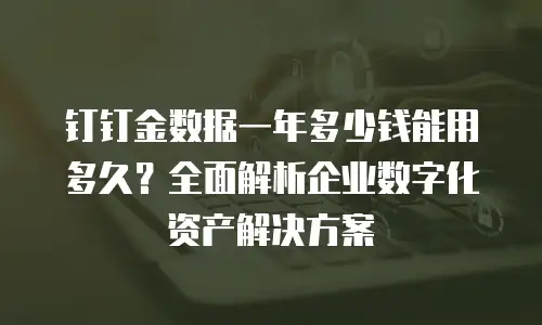 钉钉金数据一年多少钱能用多久？全面解析企业数字化资产解决方案