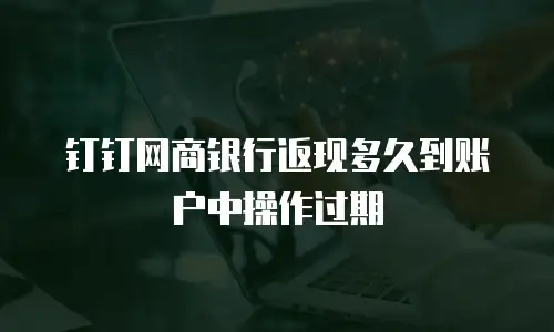 钉钉网商银行返现多久到账户中操作过期