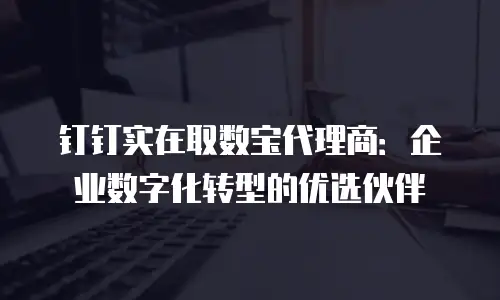 钉钉实在取数宝代理商：企业数字化转型的优选伙伴