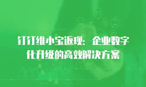 钉钉维小宝返现：企业数字化升级的高效解决方案