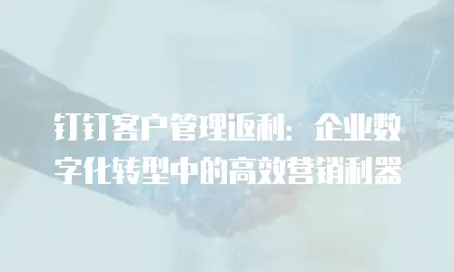 钉钉客户管理返利：企业数字化转型中的高效营销利器