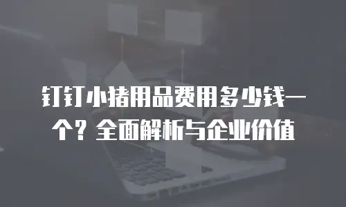 钉钉小猪用品费用多少钱一个？全面解析与企业价值