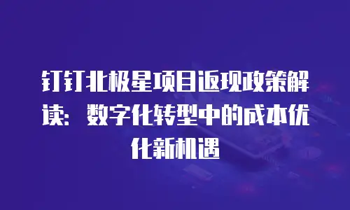 钉钉北极星项目返现政策解读：数字化转型中的成本优化新机遇