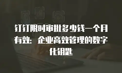 钉钉限时审批多少钱一个月有效：企业高效管理的数字化钥匙