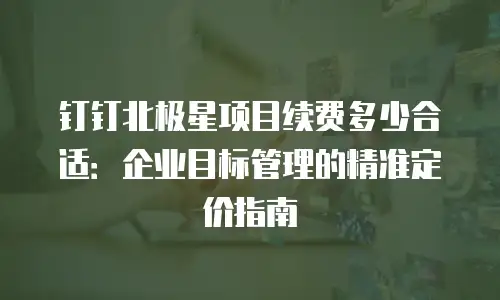 钉钉北极星项目续费多少合适：企业目标管理的精准定价指南