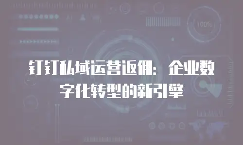 钉钉私域运营返佣：企业数字化转型的新引擎