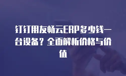 钉钉用友畅云ERP多少钱一台设备？全面解析价格与价值