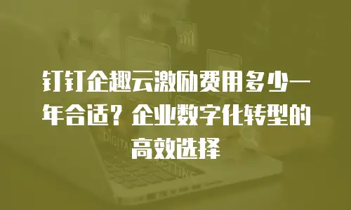 钉钉企趣云激励费用多少一年合适？企业数字化转型的高效选择