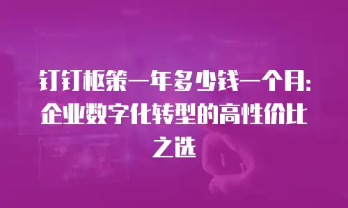 钉钉枢策一年多少钱一个月：企业数字化转型的高性价比之选