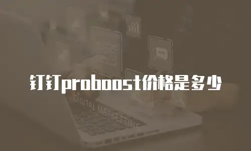 钉钉proboost价格是多少