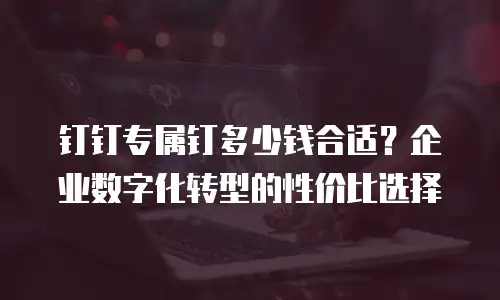 钉钉专属钉多少钱合适？企业数字化转型的性价比选择