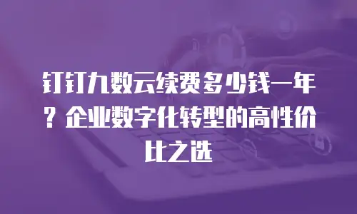 钉钉九数云续费多少钱一年？企业数字化转型的高性价比之选