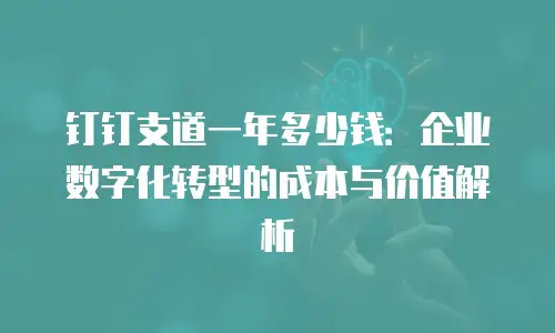 钉钉支道一年多少钱：企业数字化转型的成本与价值解析