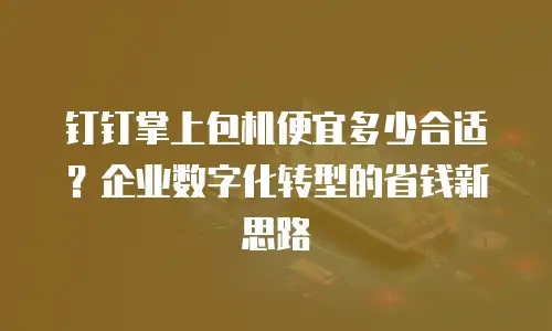 钉钉掌上包机便宜多少合适？企业数字化转型的省钱新思路
