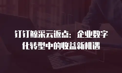 钉钉鲸采云返点：企业数字化转型中的收益新机遇