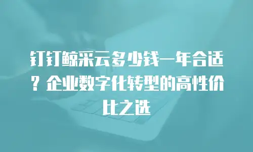 钉钉鲸采云多少钱一年合适？企业数字化转型的高性价比之选