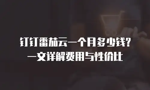 钉钉番茄云一个月多少钱？一文详解费用与性价比