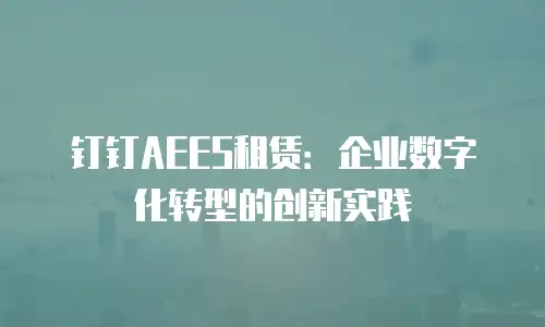 钉钉AEES租赁：企业数字化转型的创新实践