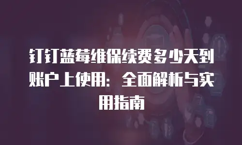 钉钉蓝莓维保续费多少天到账户上使用：全面解析与实用指南