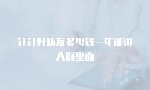 钉钉好队友多少钱一年能进入群里面