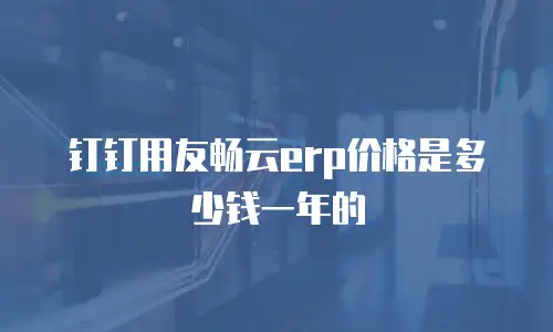 钉钉用友畅云erp价格是多少钱一年的
