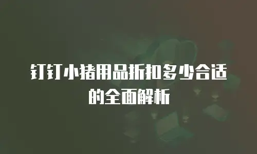 钉钉小猪用品折扣多少合适的全面解析