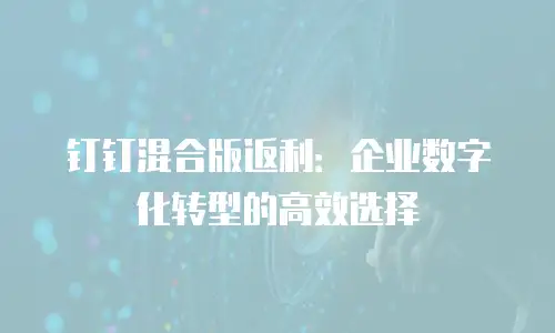 钉钉混合版返利：企业数字化转型的高效选择
