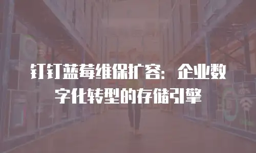 钉钉蓝莓维保扩容：企业数字化转型的存储引擎
