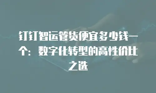 钉钉智运管货便宜多少钱一个：数字化转型的高性价比之选