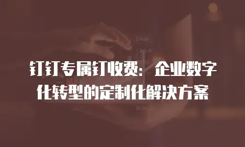 钉钉专属钉收费：企业数字化转型的定制化解决方案