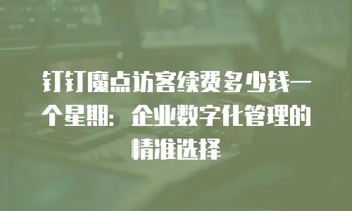 钉钉魔点访客续费多少钱一个星期：企业数字化管理的精准选择
