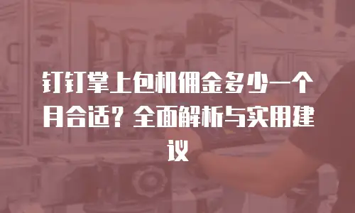 钉钉掌上包机佣金多少一个月合适？全面解析与实用建议