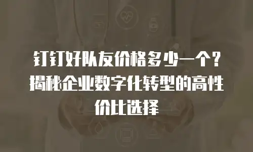 钉钉好队友价格多少一个？揭秘企业数字化转型的高性价比选择