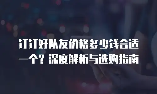 钉钉好队友价格多少钱合适一个？深度解析与选购指南