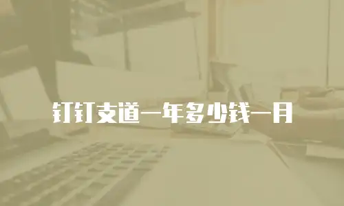 钉钉支道一年多少钱一月