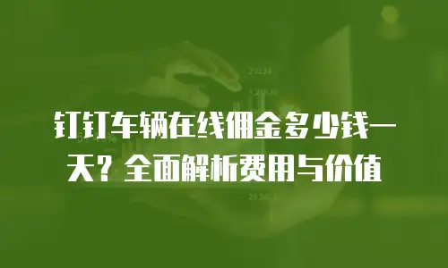 钉钉车辆在线佣金多少钱一天？全面解析费用与价值